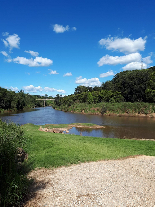 Mary river from bank_Gympie Regional Council